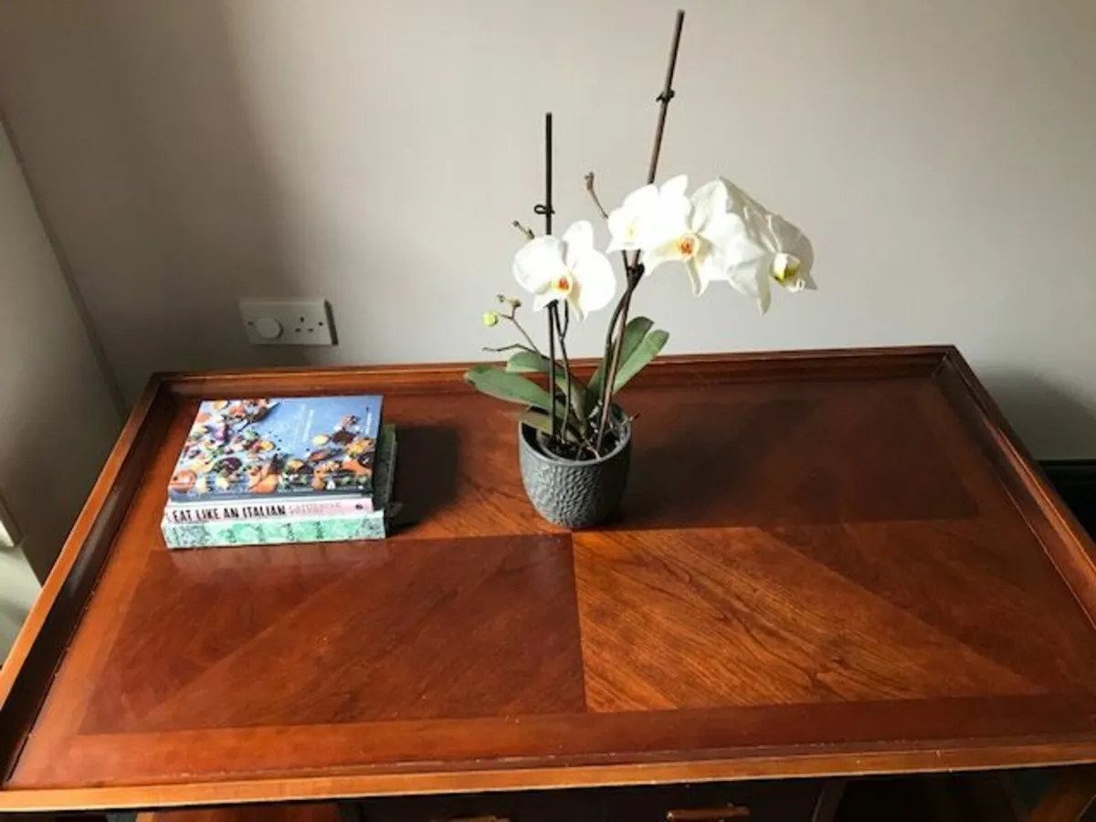 Solid wood Coffee Table-Walnut coloured - Image 4
