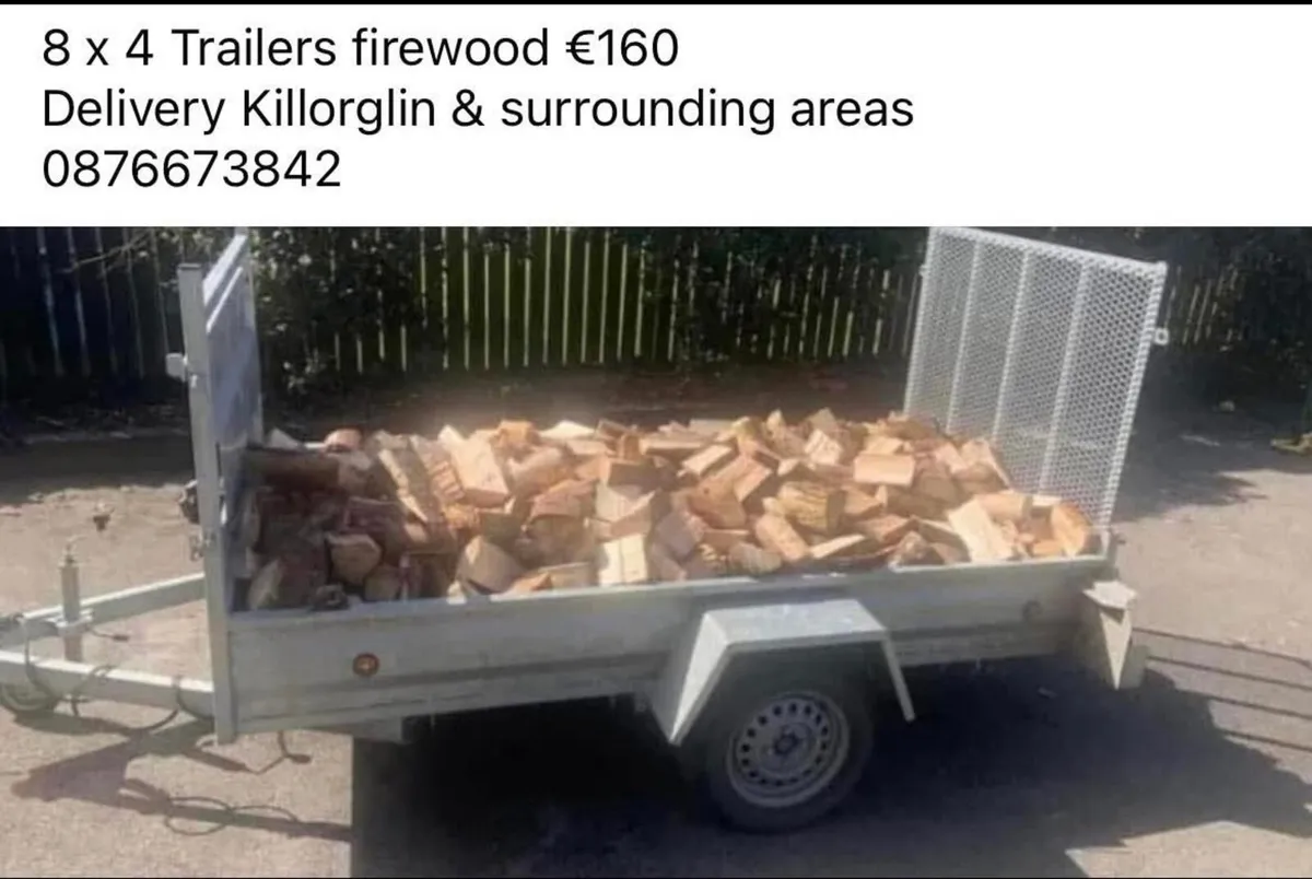 Firewood Timber - Image 2