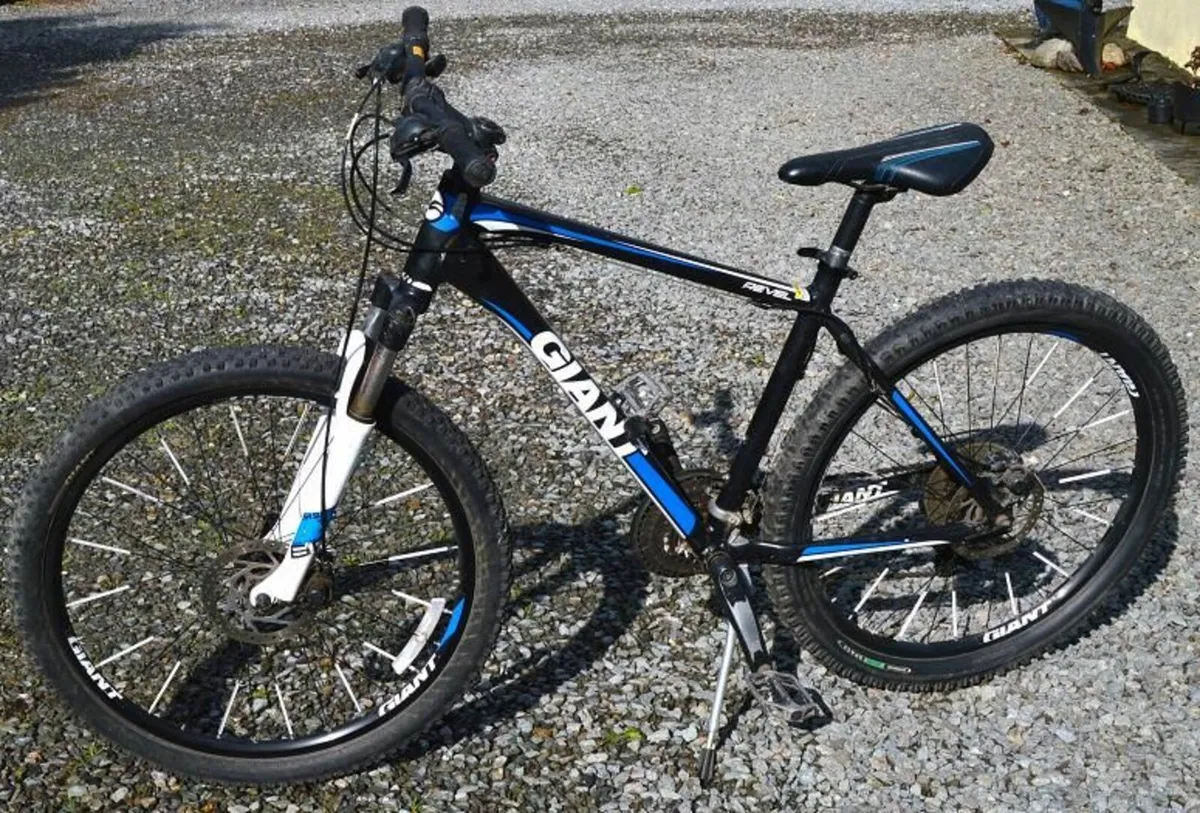 Mountain bike