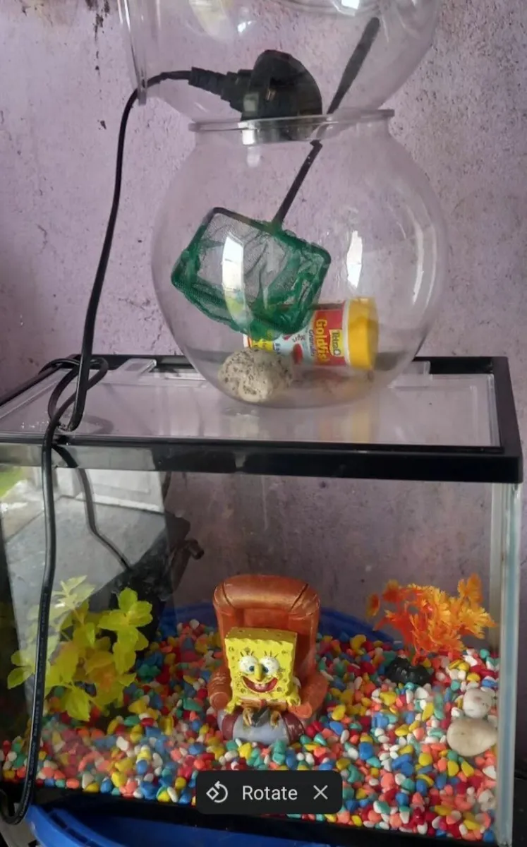 Fish Tank