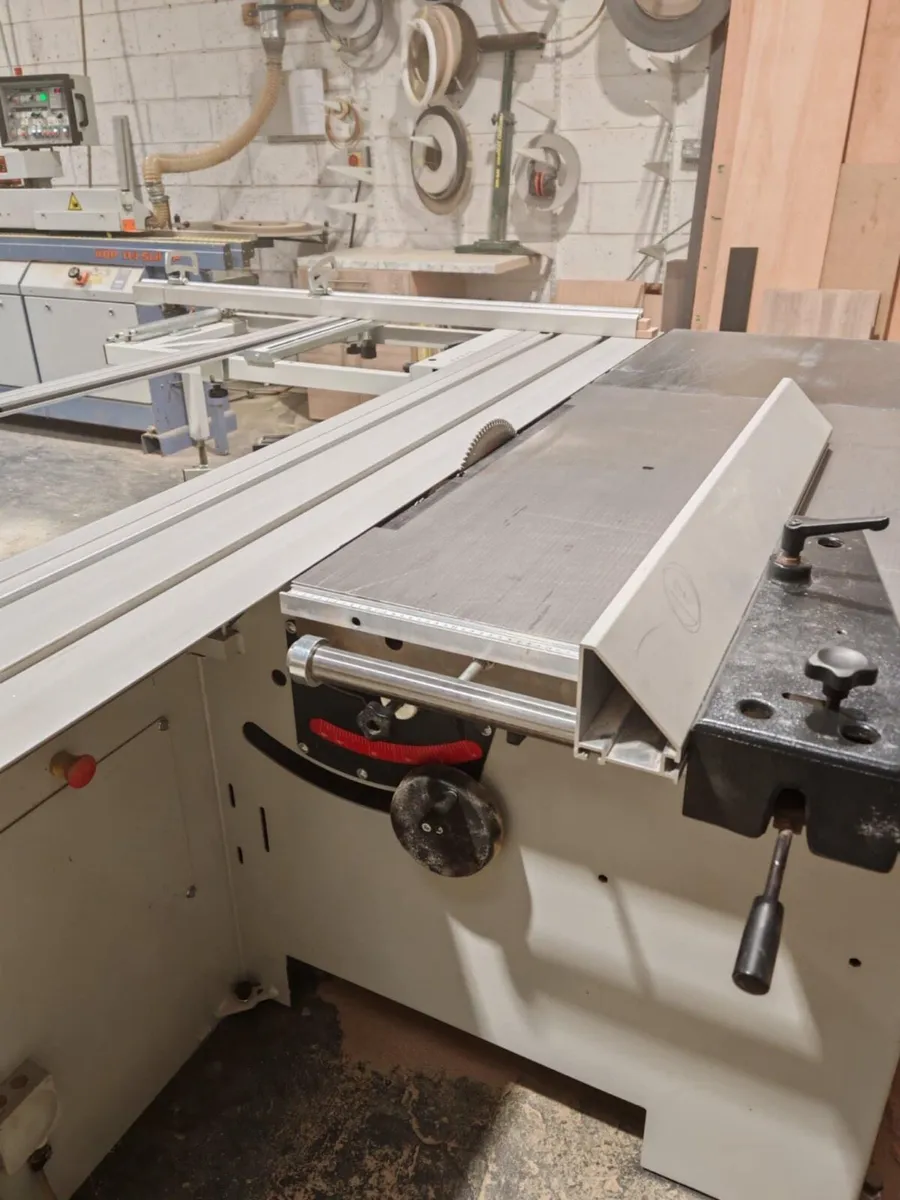 Single phase Robland Panel saw - Image 4