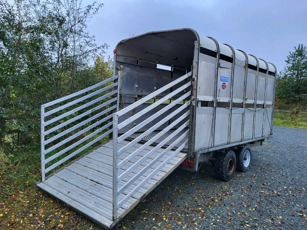 Cattle trailer - Image 2