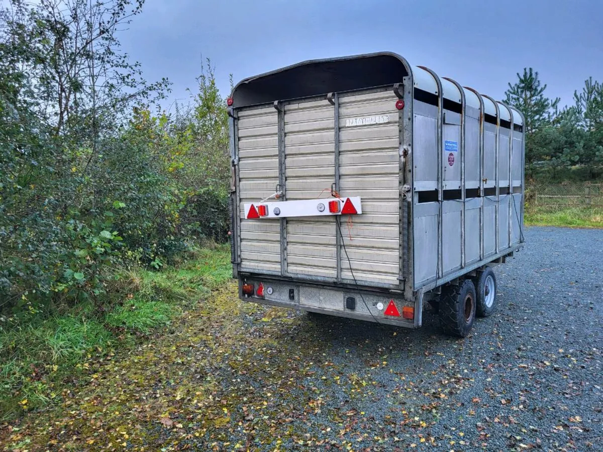 Cattle trailer - Image 4
