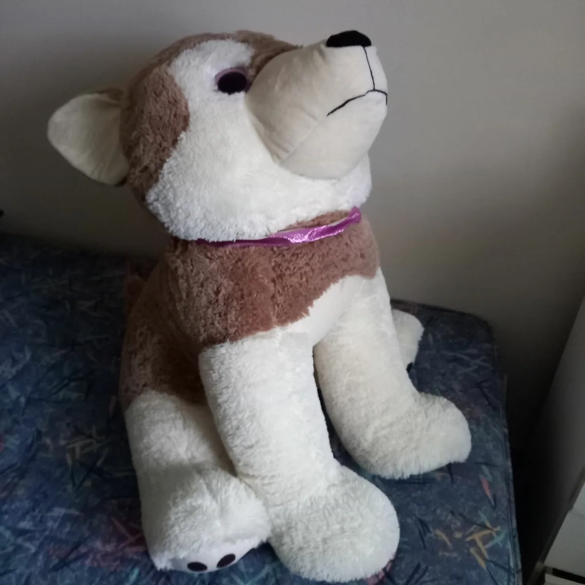 toy dog
