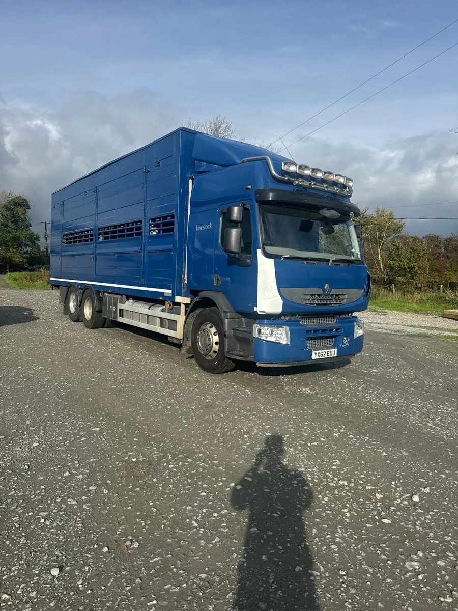 Rigid Livestock Lorry Forsale - Image 1