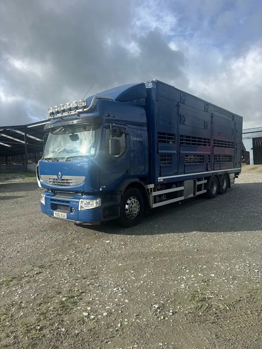 Rigid Livestock Lorry Forsale - Image 2