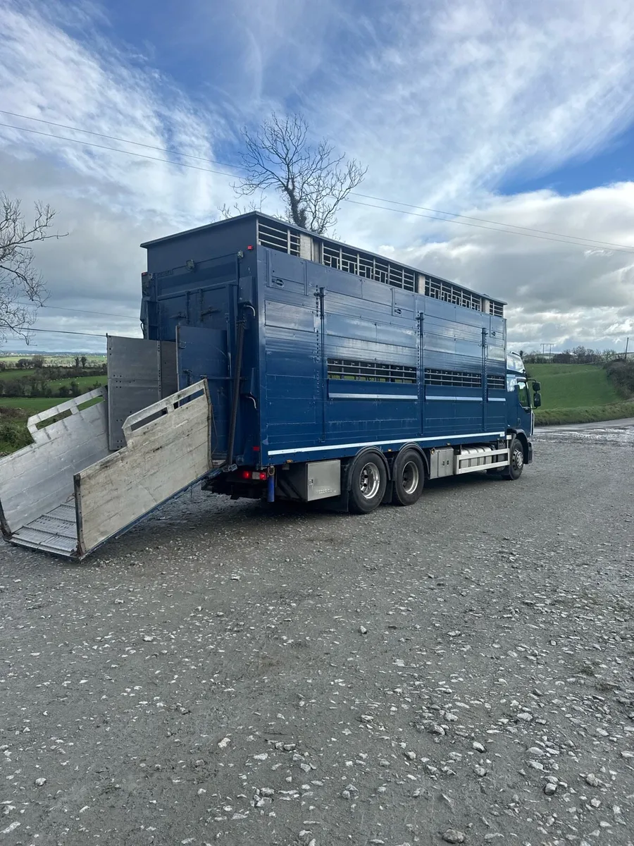 Rigid Livestock Lorry Forsale - Image 3
