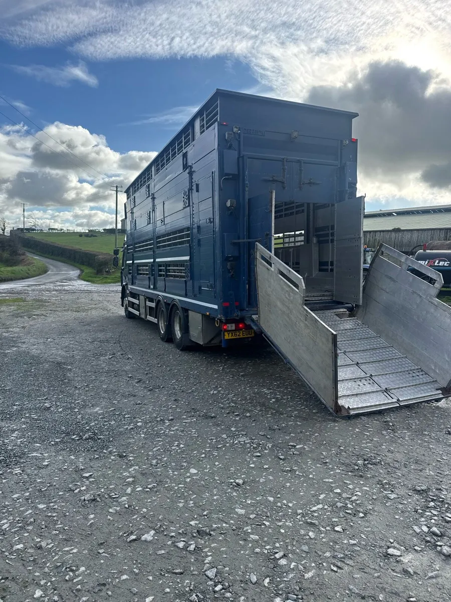 Rigid Livestock Lorry Forsale - Image 4