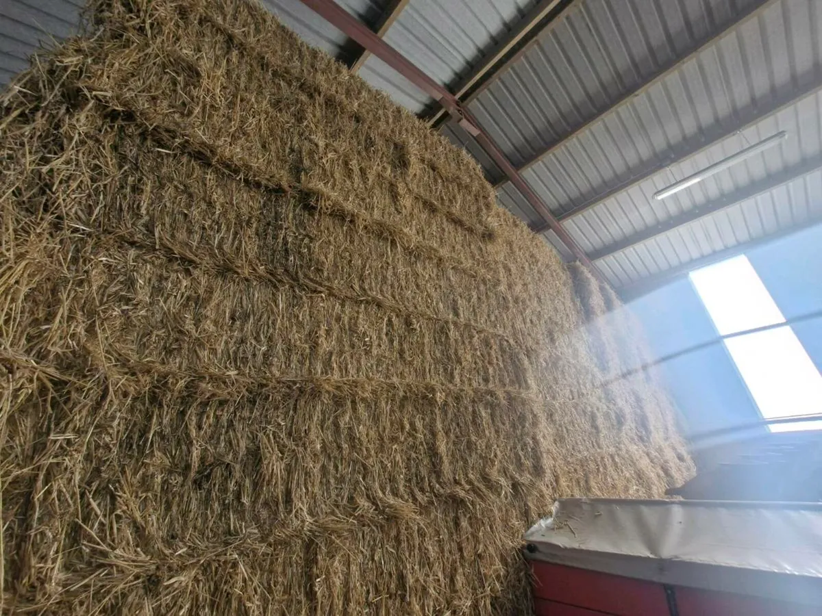 Barley straw 8x4x3 - Image 2