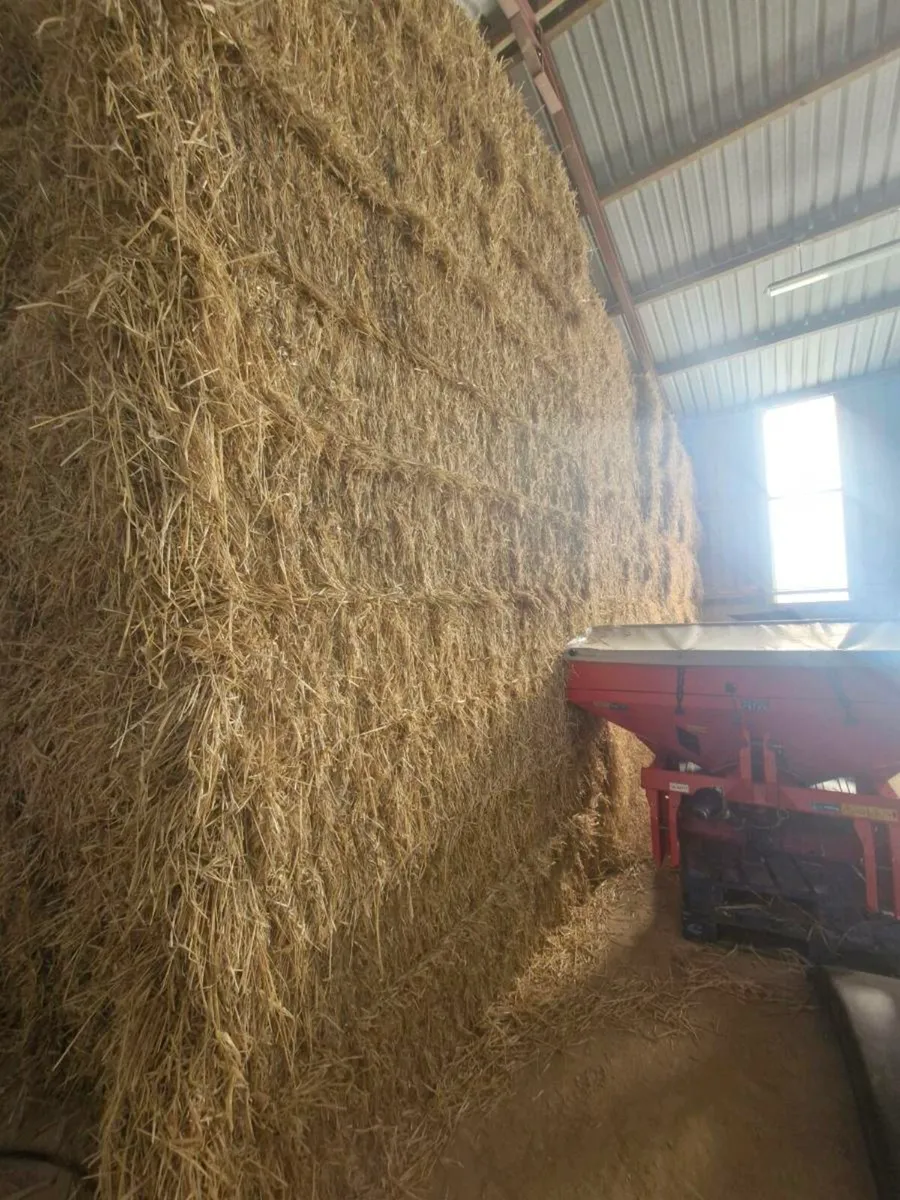 Barley straw 8x4x3 - Image 1