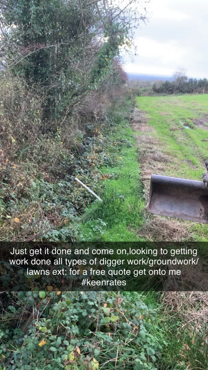 Digger work/ground work/lawns ext: - Image 4