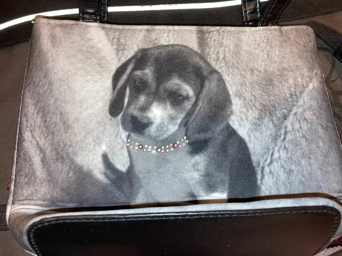 Bags - Image 1
