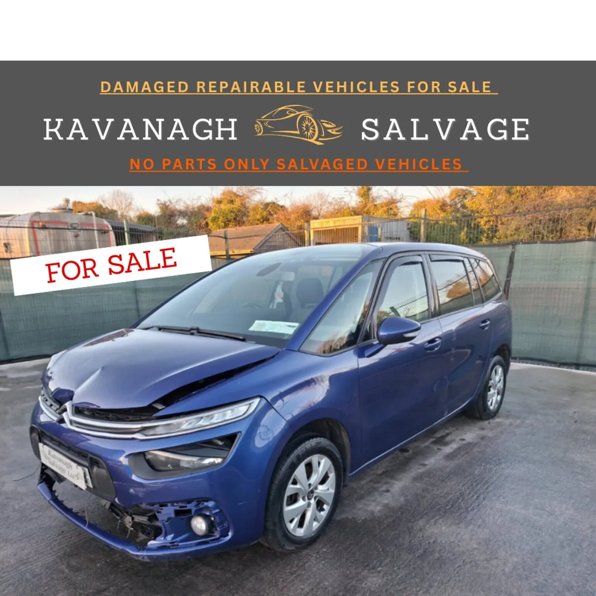172 Citroen C4 Grand Picasso  7 seater - Image 1