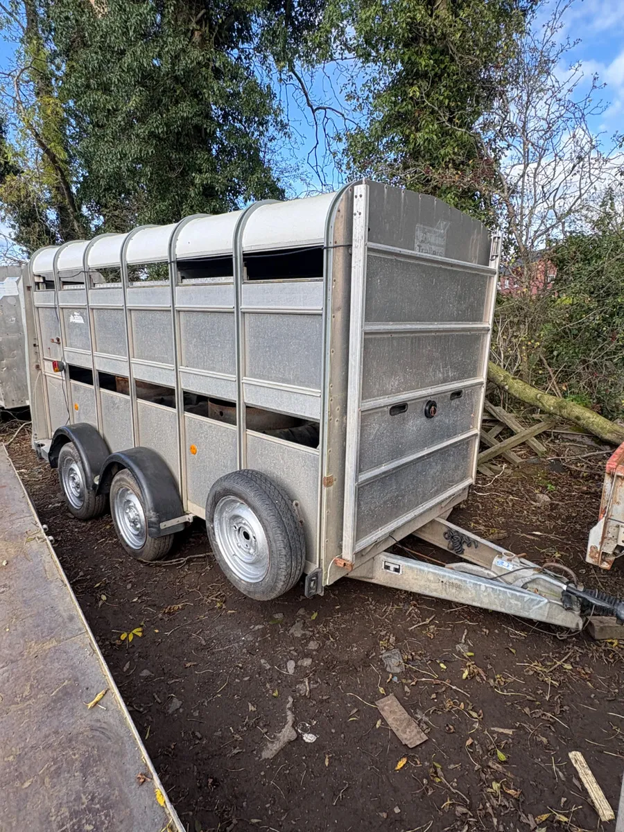 Ifor Williams 12x5 cattle trailer - Image 1