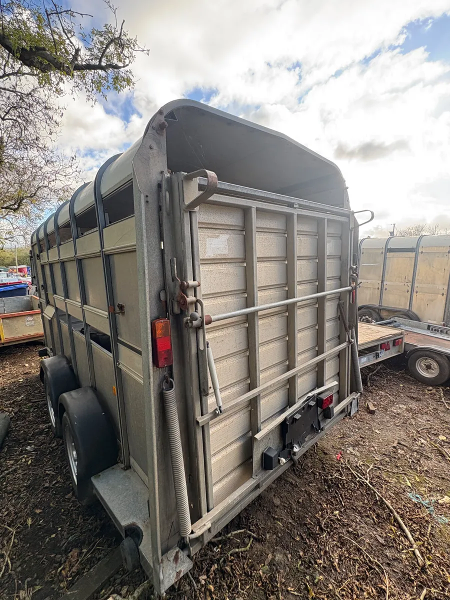 Ifor Williams 12x5 cattle trailer - Image 2