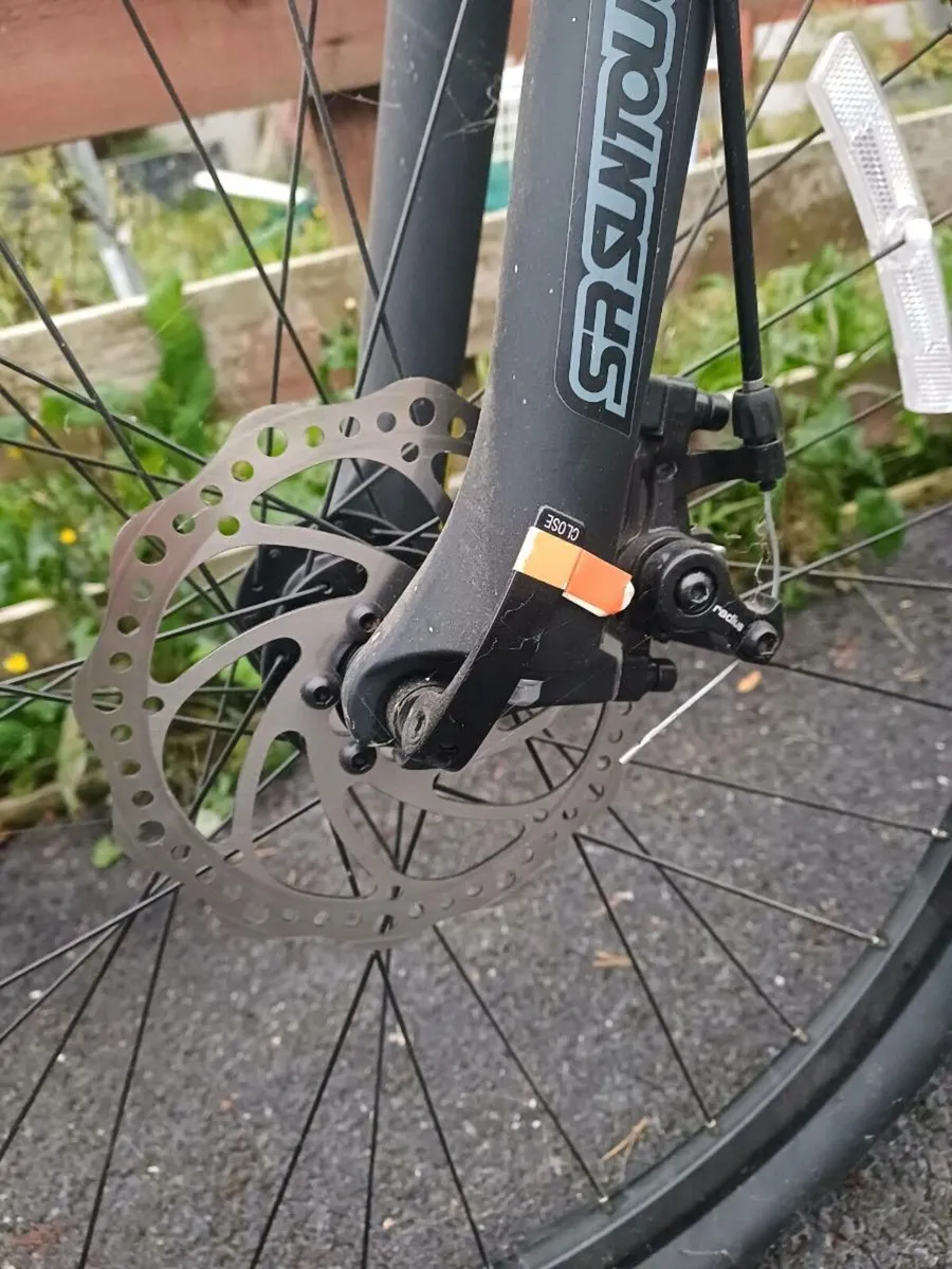 Carrera vengeance - Image 4