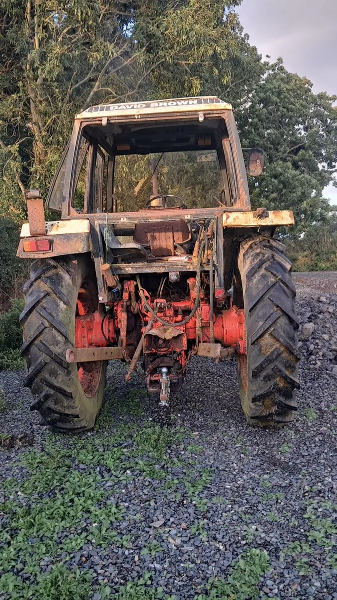 David brown - Image 3