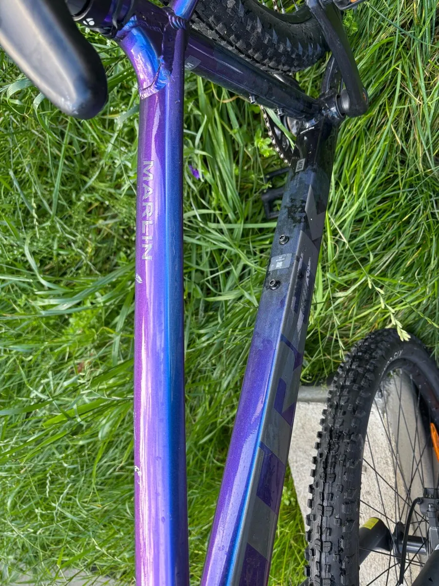 Bile bicycle push bike - Image 2