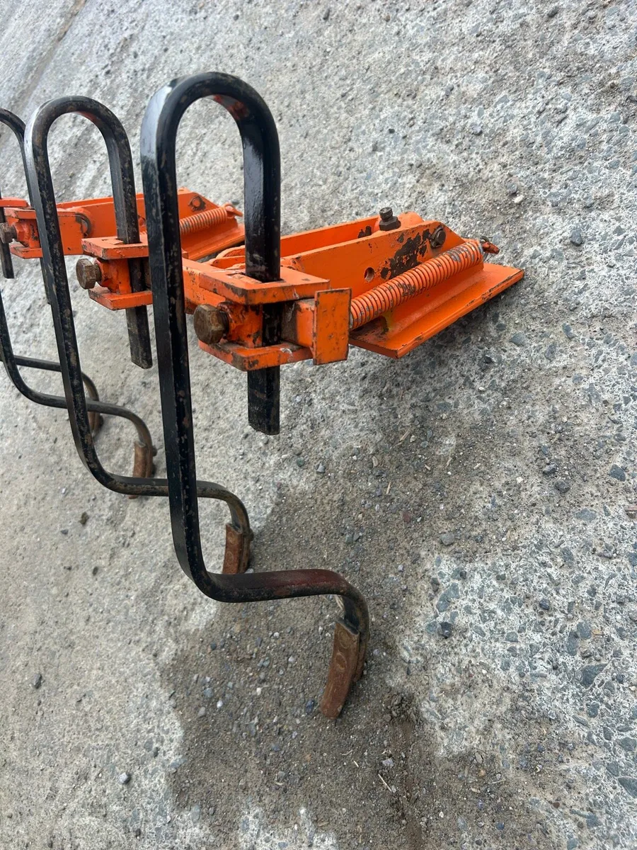 Track eradicators - Image 3