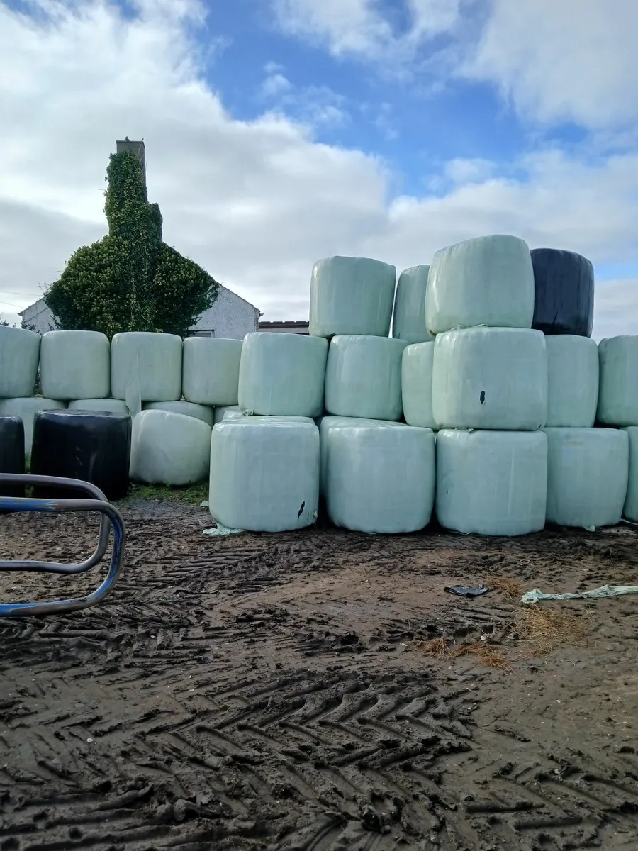 QUALITY  ROUND  BALES