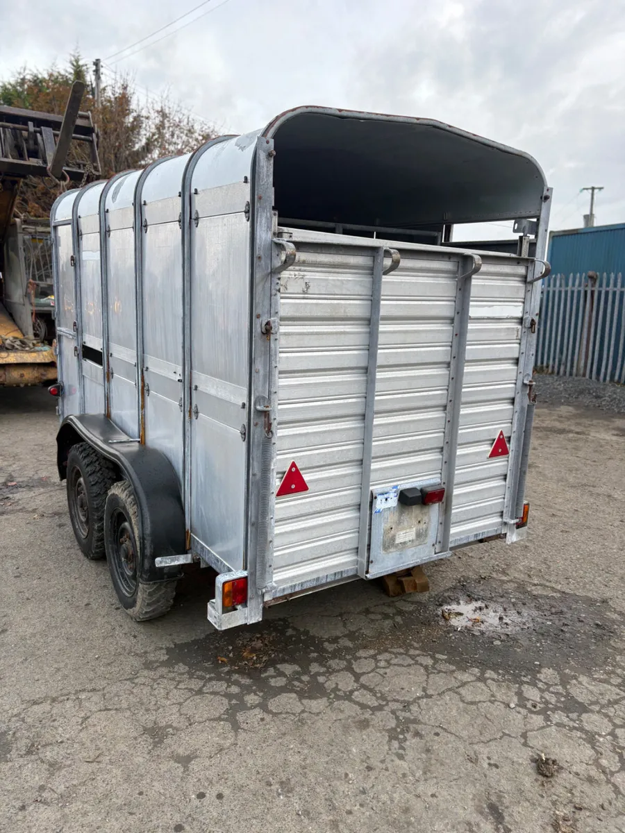 Ifor Williams 10x5 cattle trailer - Image 2