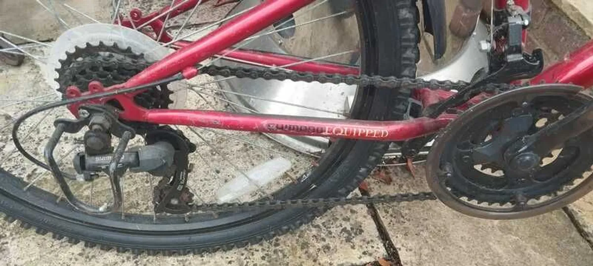 100 Euro each Bicycle 1 Mens Road size M & 2 Kids Mountain Bikes - Image 3