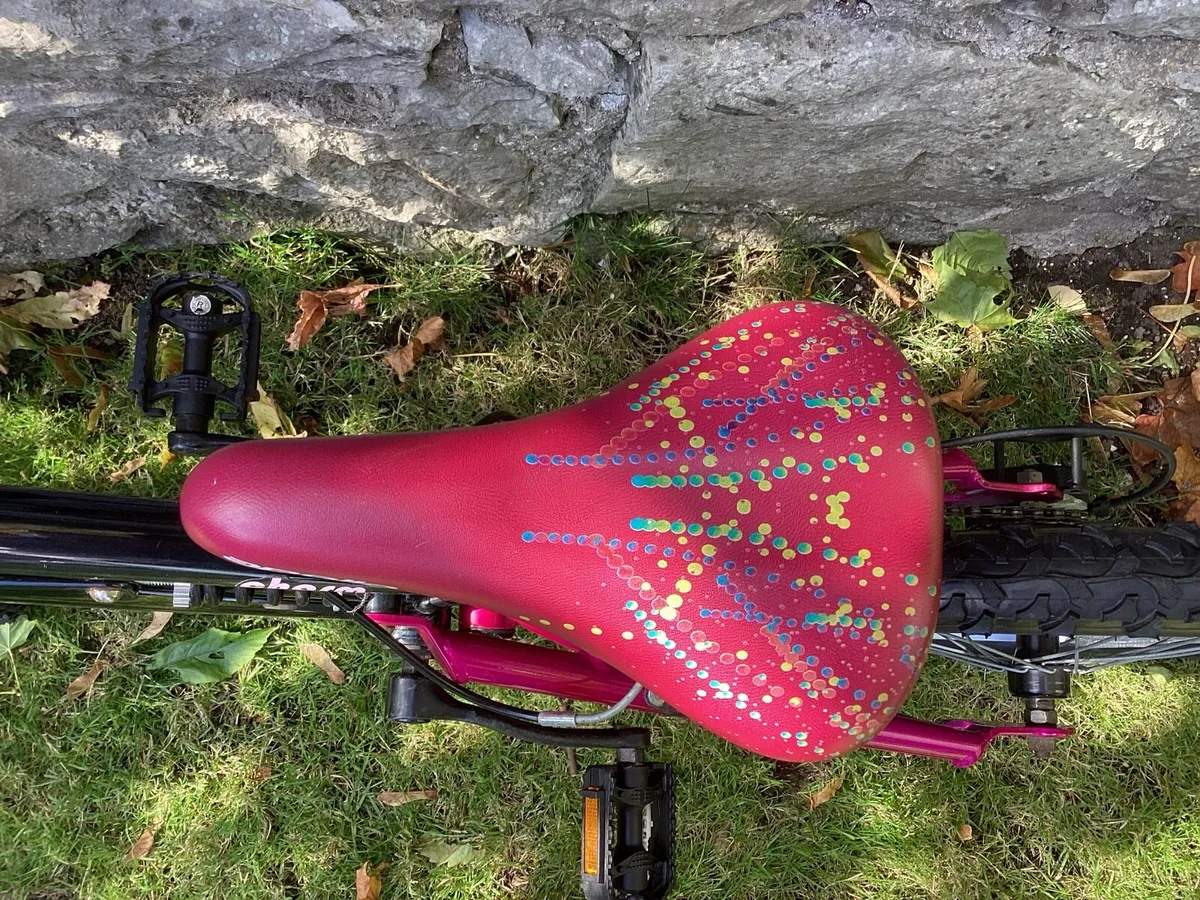 CHARMING BICYCLE - Image 2