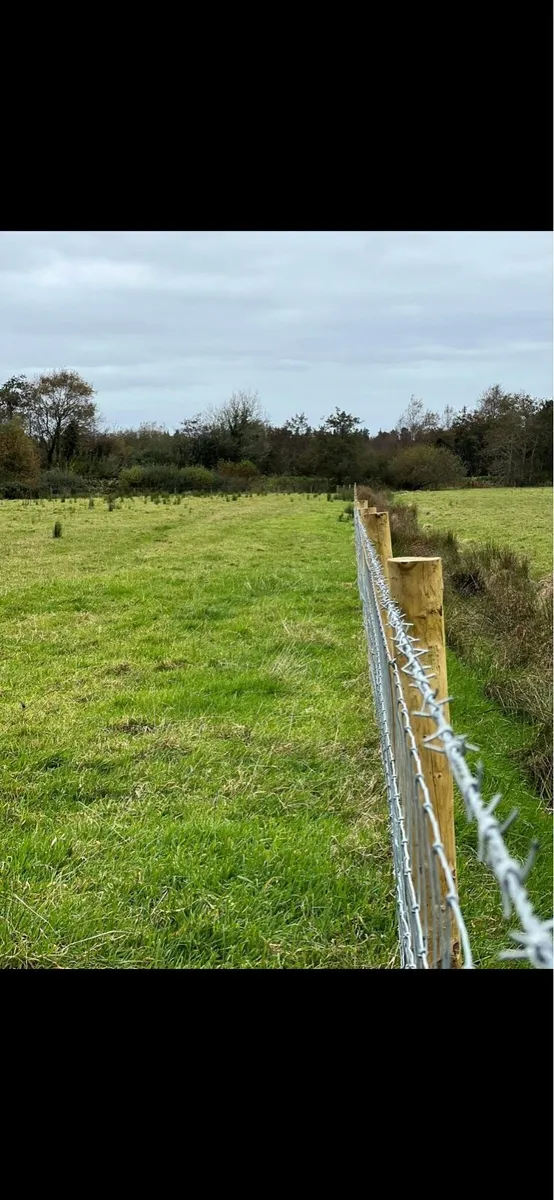 Burke Agri and plant - Image 4