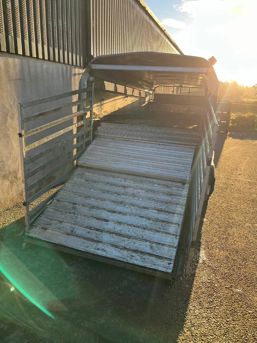 LAGAN 24FT LIVESTOCK TRAILER - Image 2