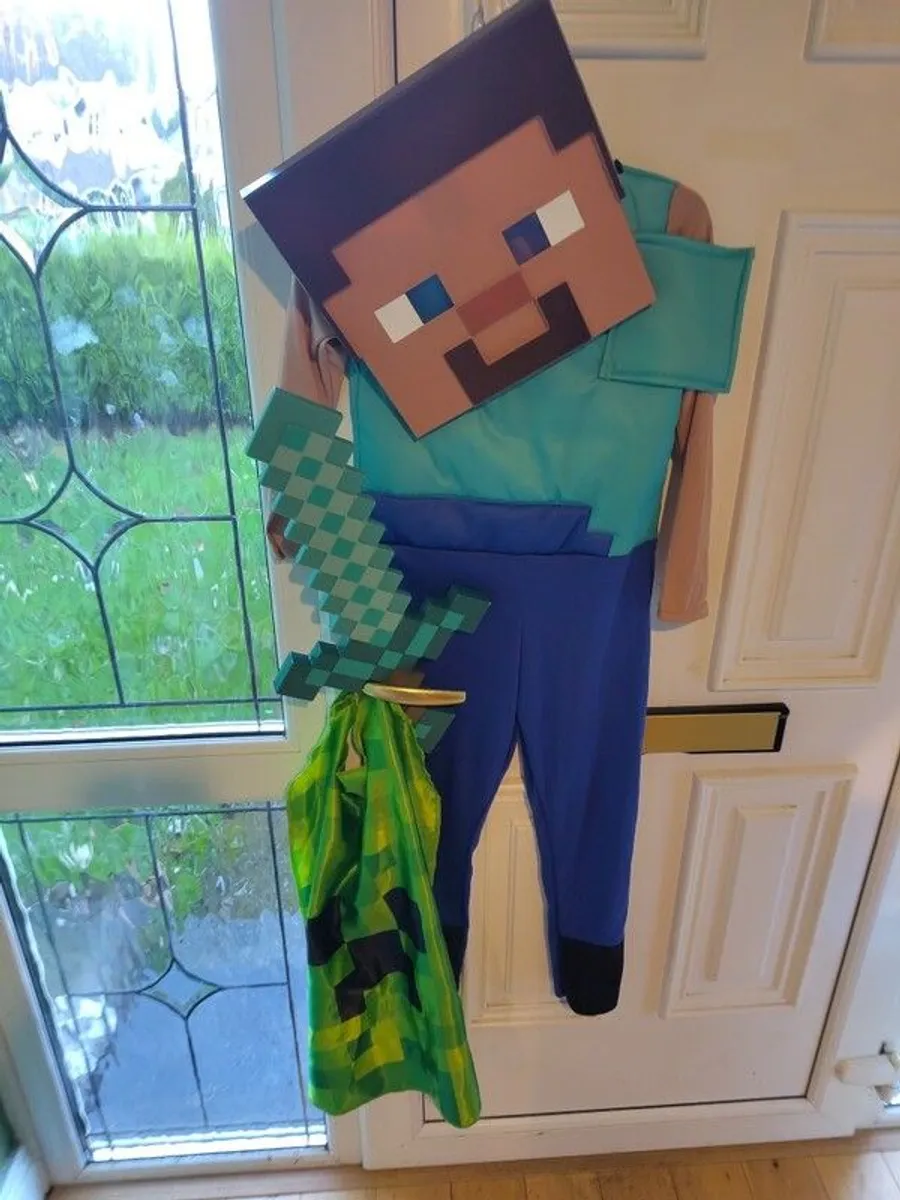 Minecraft Costume - Steve - Image 1