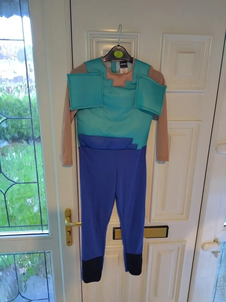 Minecraft Costume - Steve - Image 3