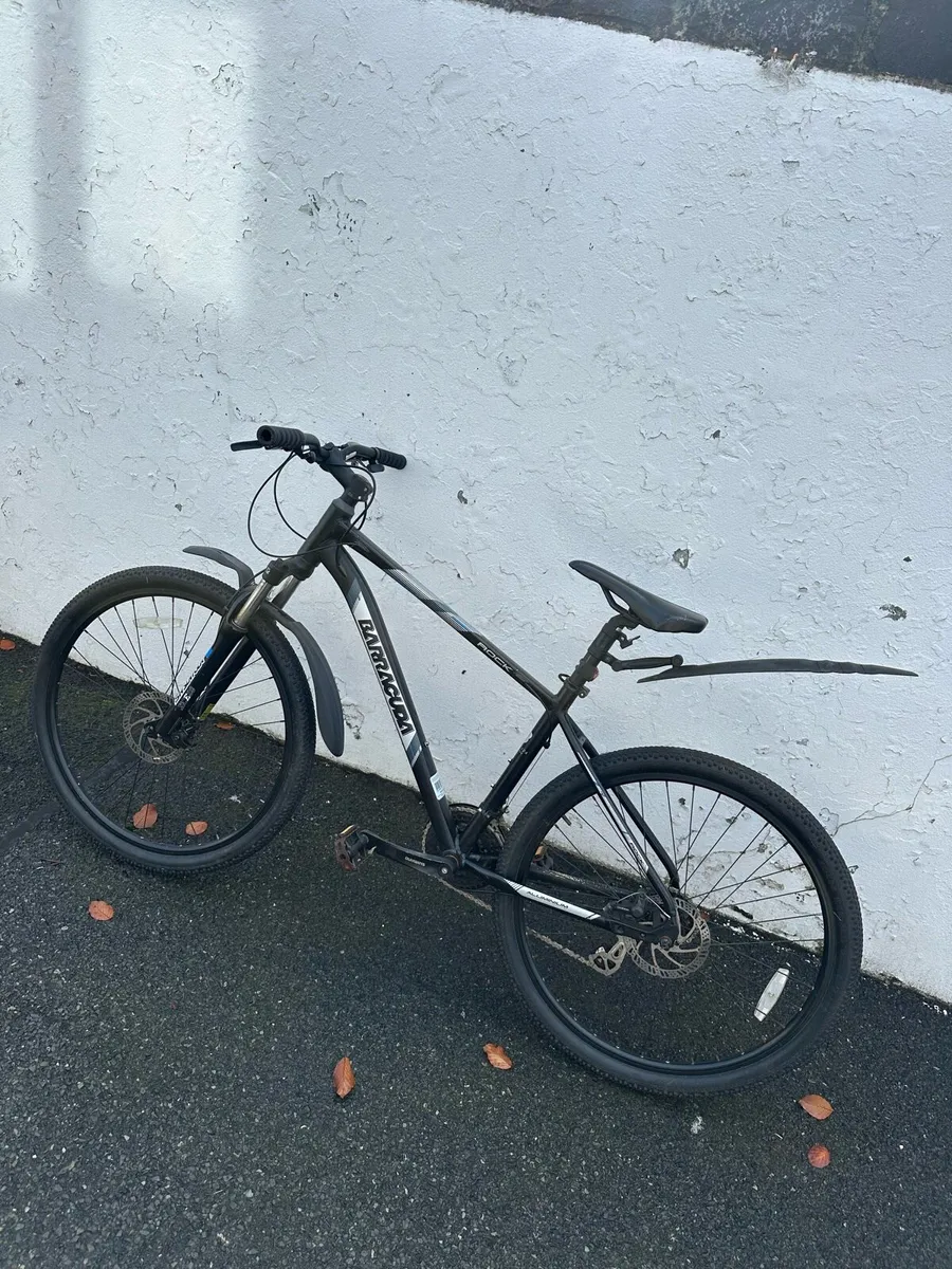 Barracuda rock Mountain bike for sale - Image 2