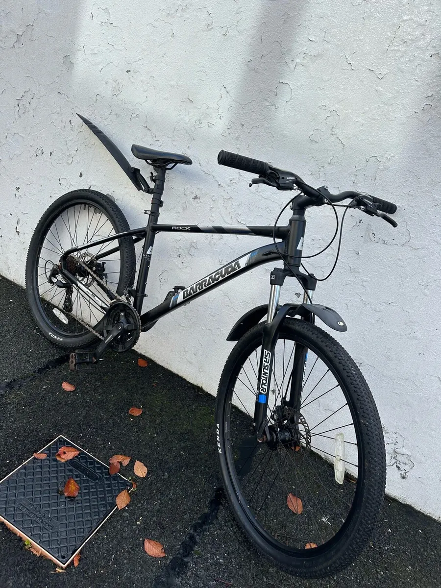 Barracuda rock Mountain bike for sale - Image 3