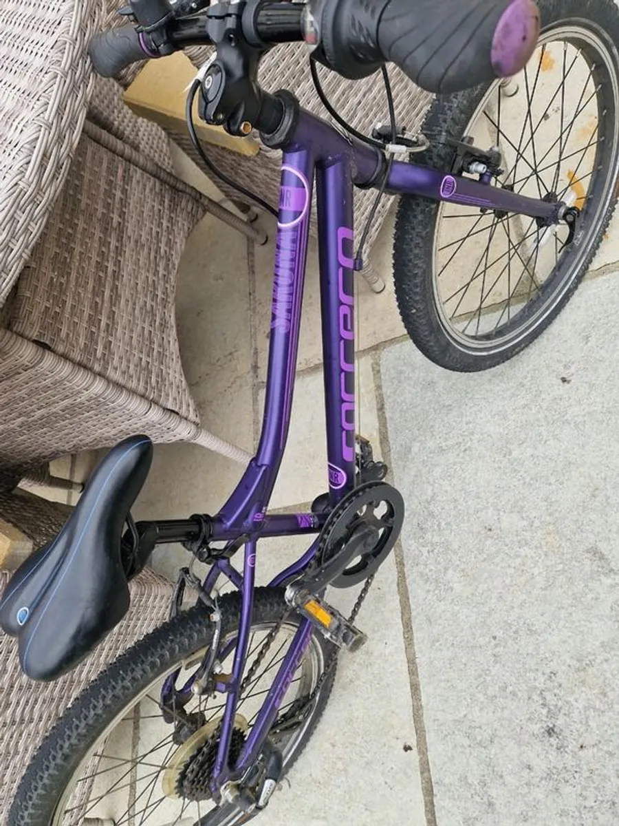 Carrera Bike 20 inch - Image 1