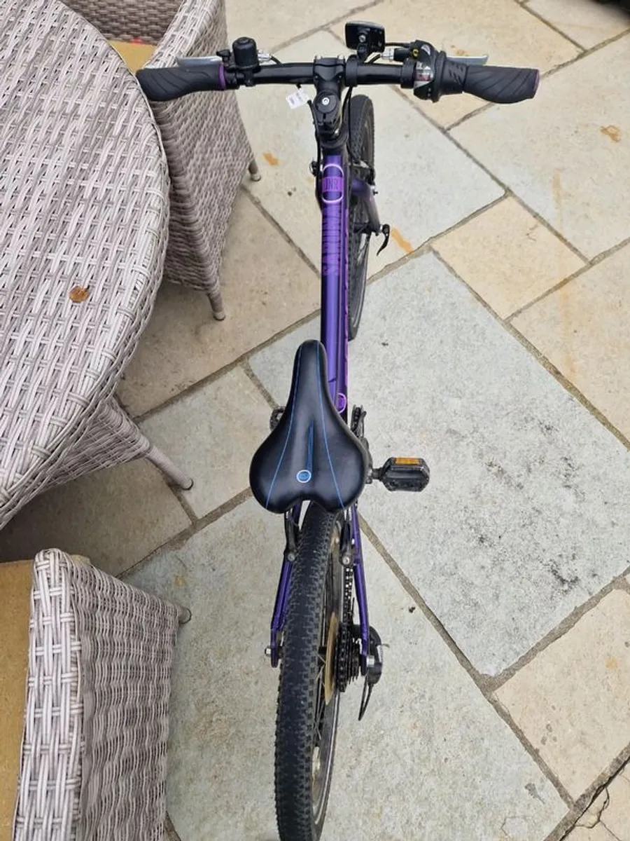 Carrera Bike 20 inch - Image 3