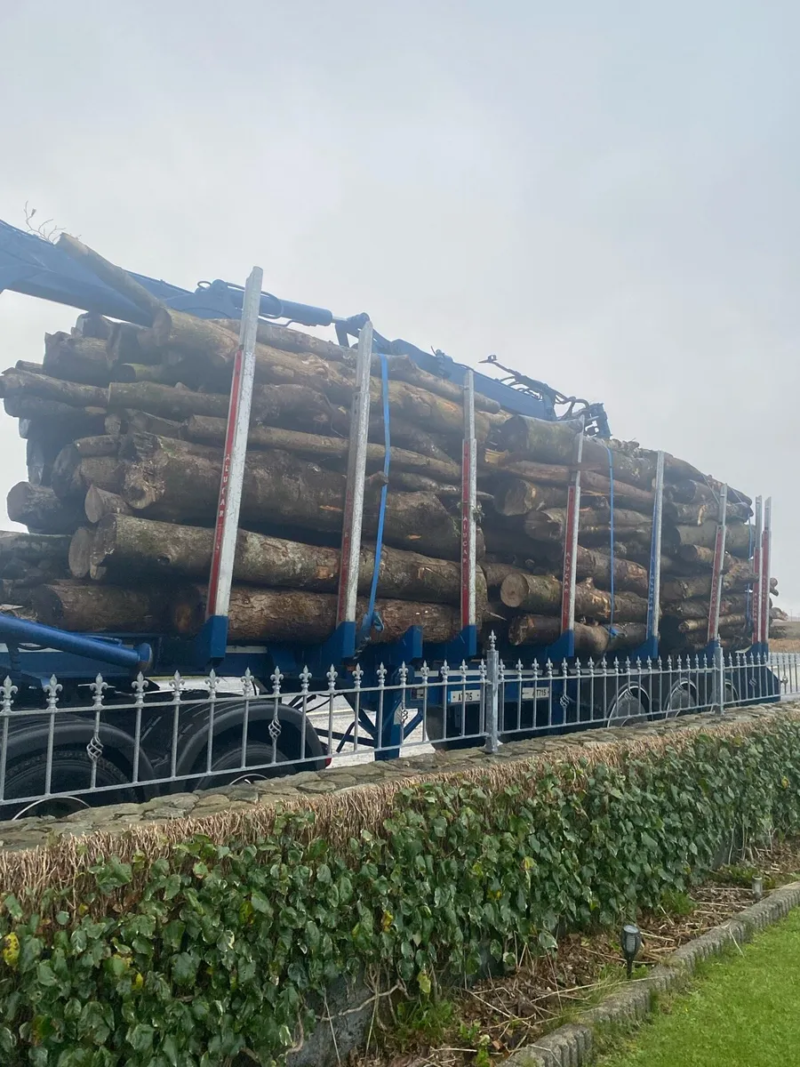 Hardwood Softwood Timber - Image 1