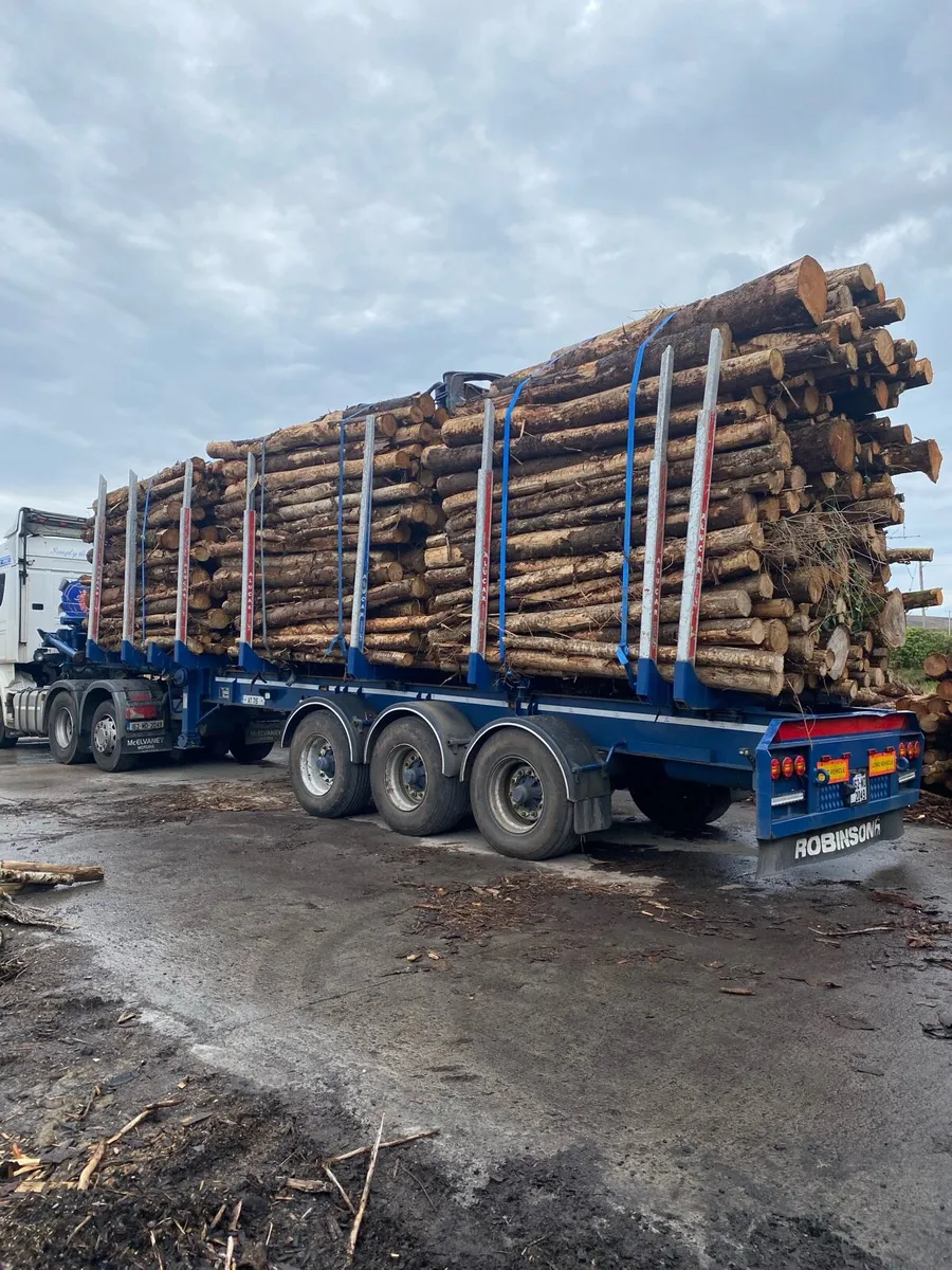 Hardwood Softwood Timber - Image 4