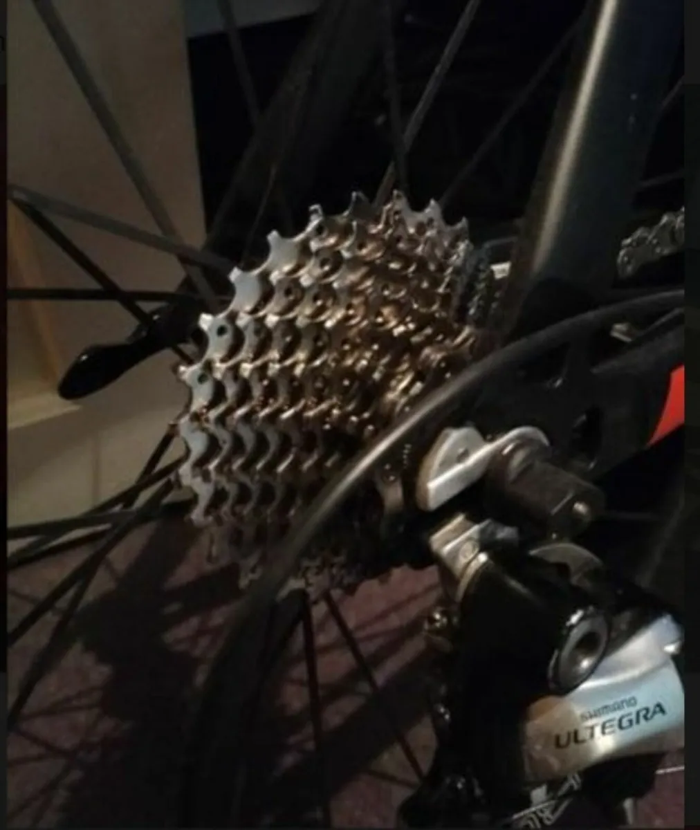 TT Bike - Image 1