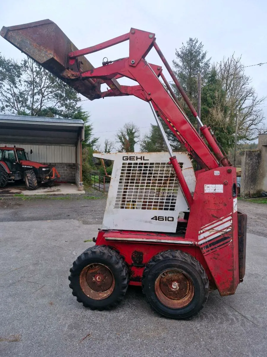 Ghel Skid steer - Image 3