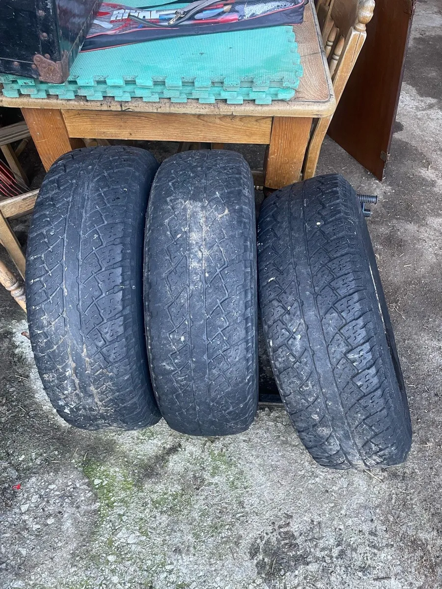 Shed clear out - Image 3