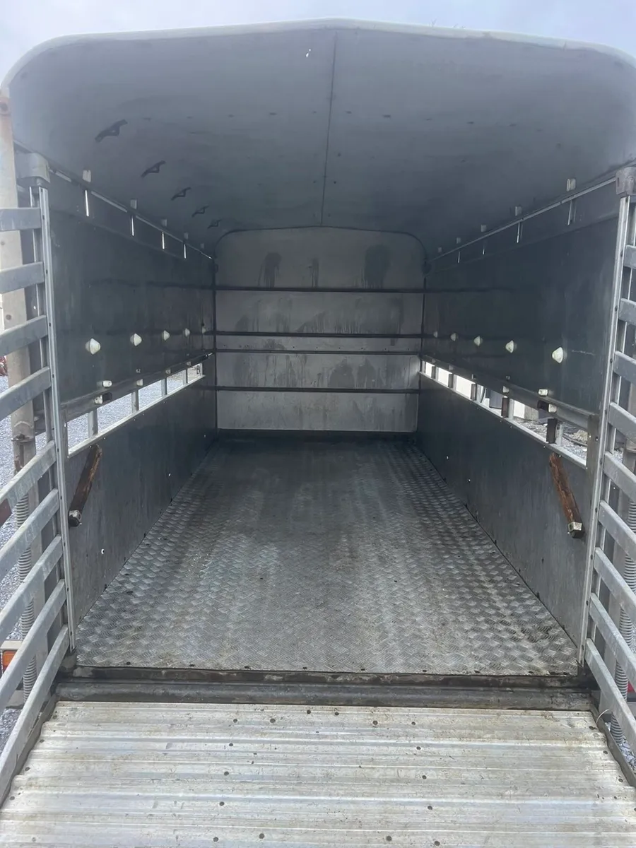 12ft iforwilliams cattle box - Image 2