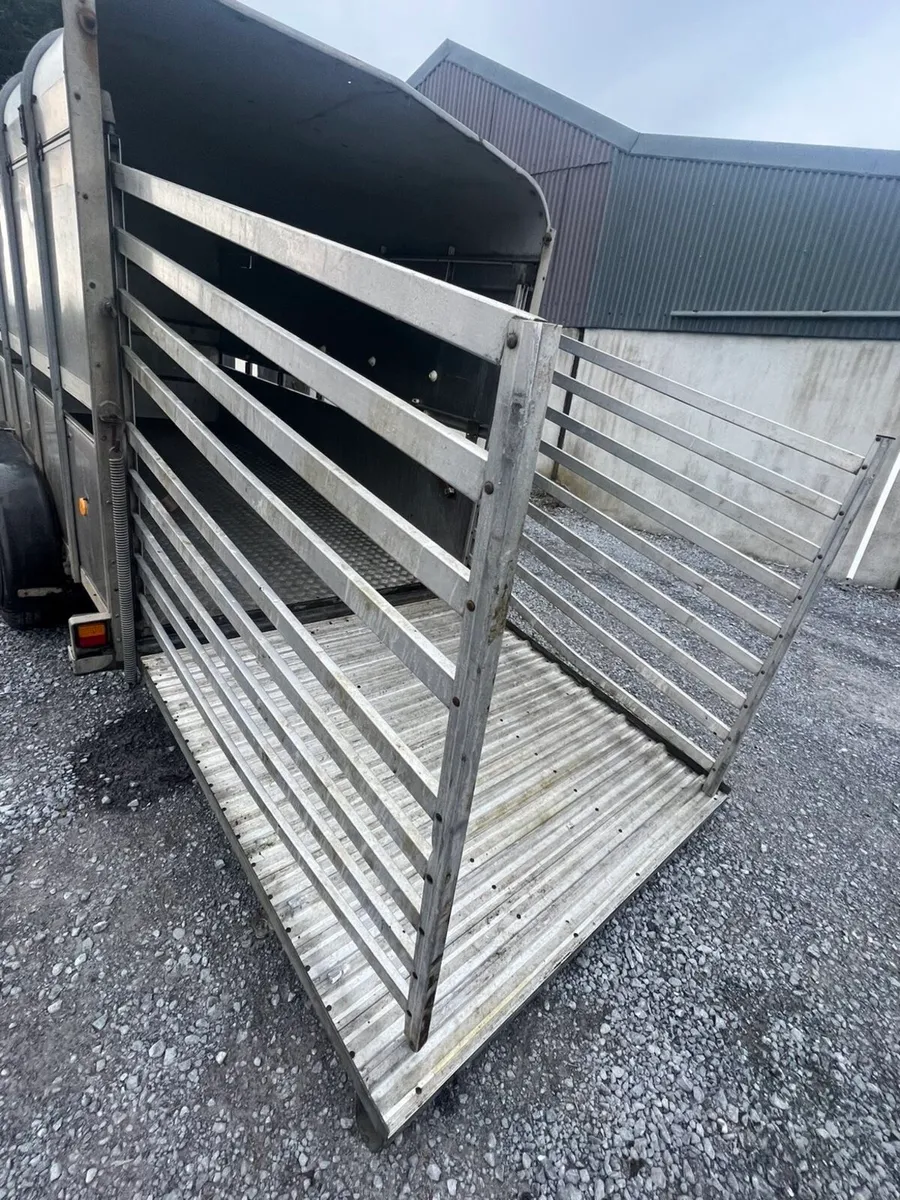 12ft iforwilliams cattle box - Image 3