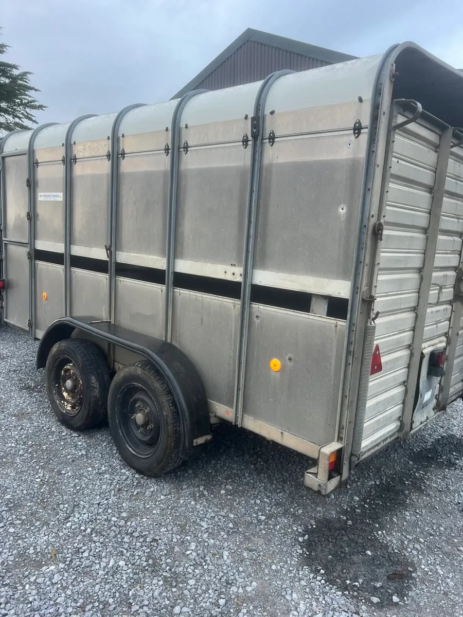 12ft iforwilliams cattle box - Image 4