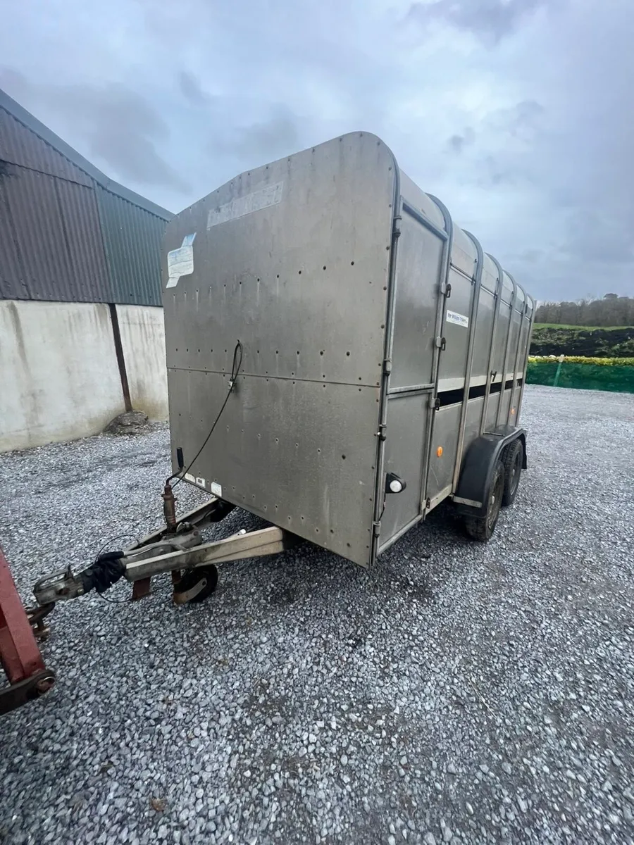 12ft iforwilliams cattle box - Image 1