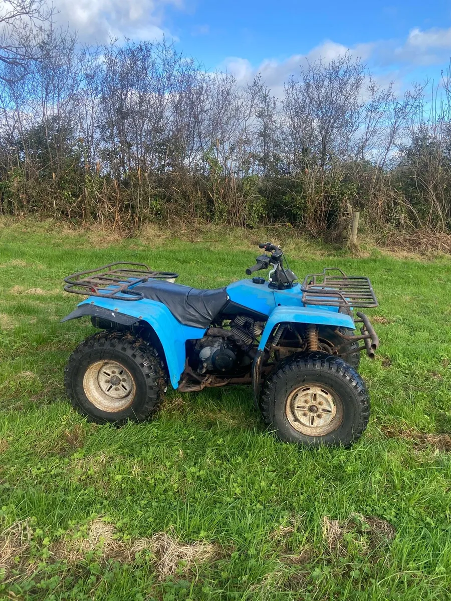 Yamaha big bear 350 - Image 1