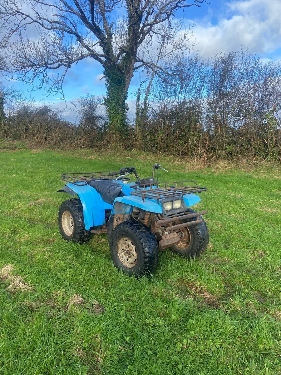 Yamaha big bear 350 - Image 3