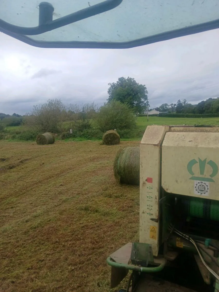Round bales of silage for sale - Image 1