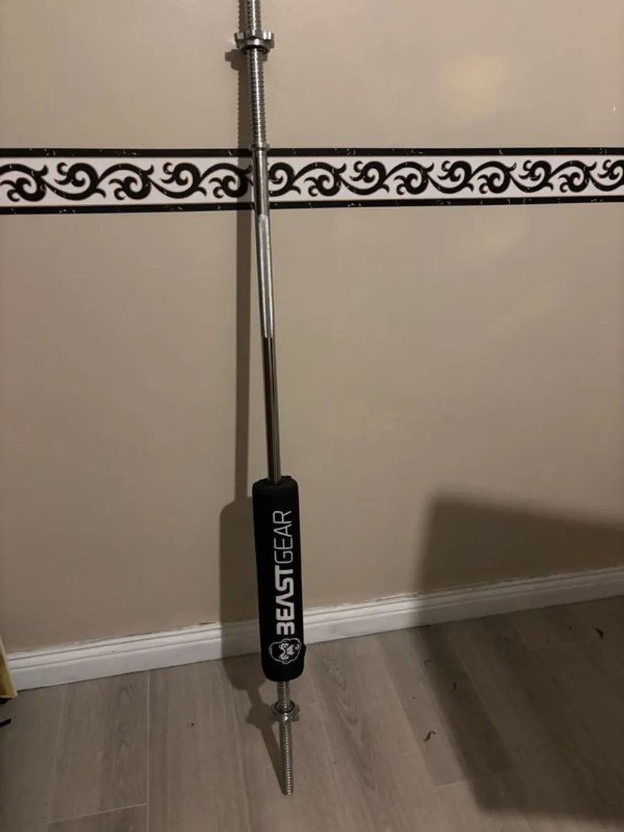 lifting bars - Image 2