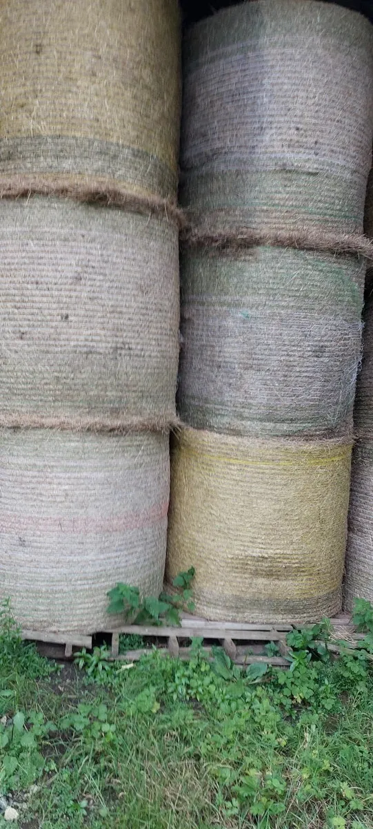 Hay - Image 2