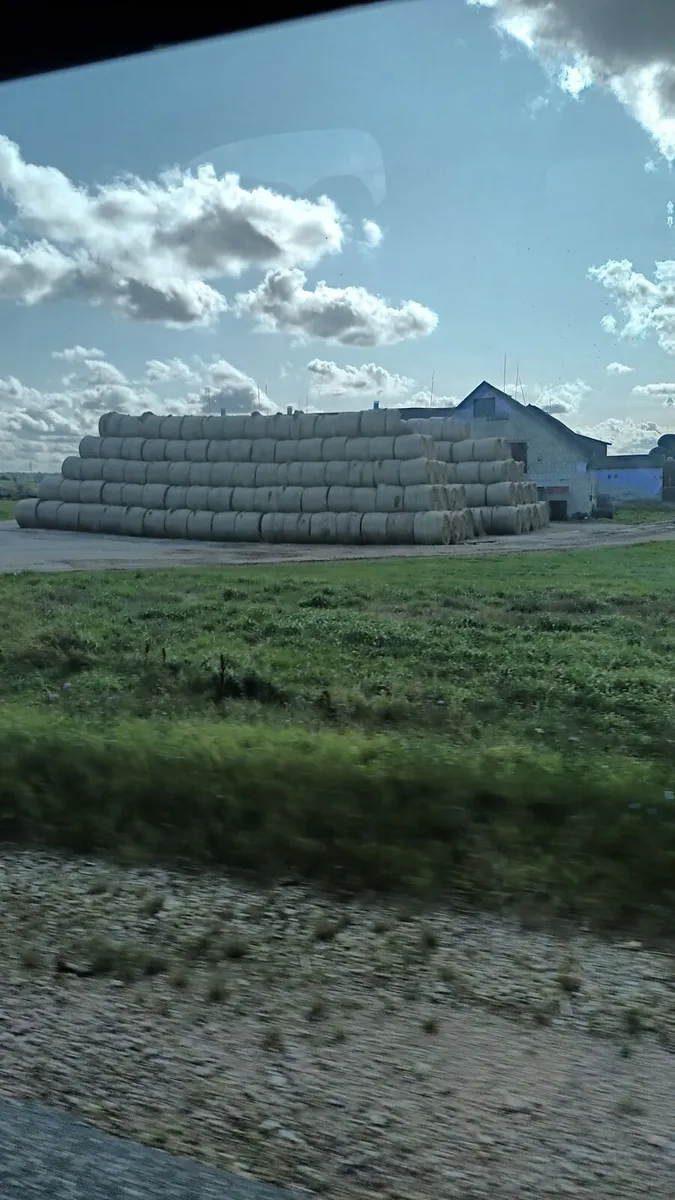 Round bales of silage for sale - Image 2